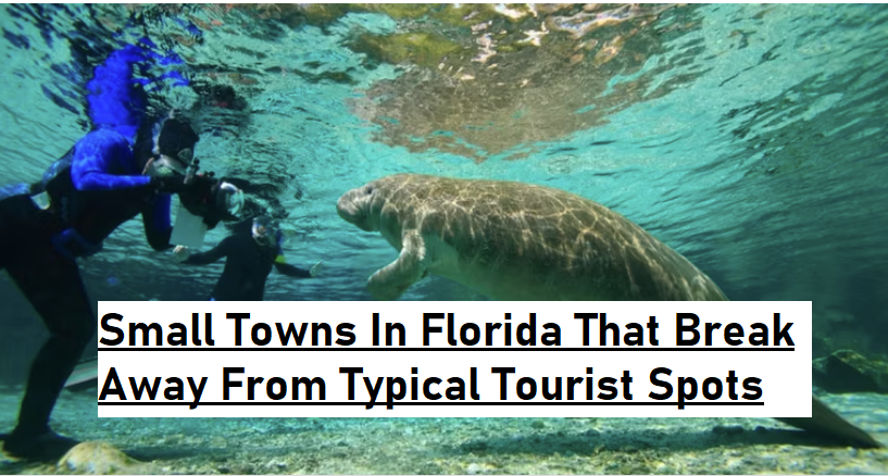 Small Towns In Florida That Break Away From Typical Tourist Spots